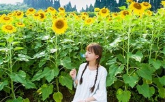 十分肉欲的性描写